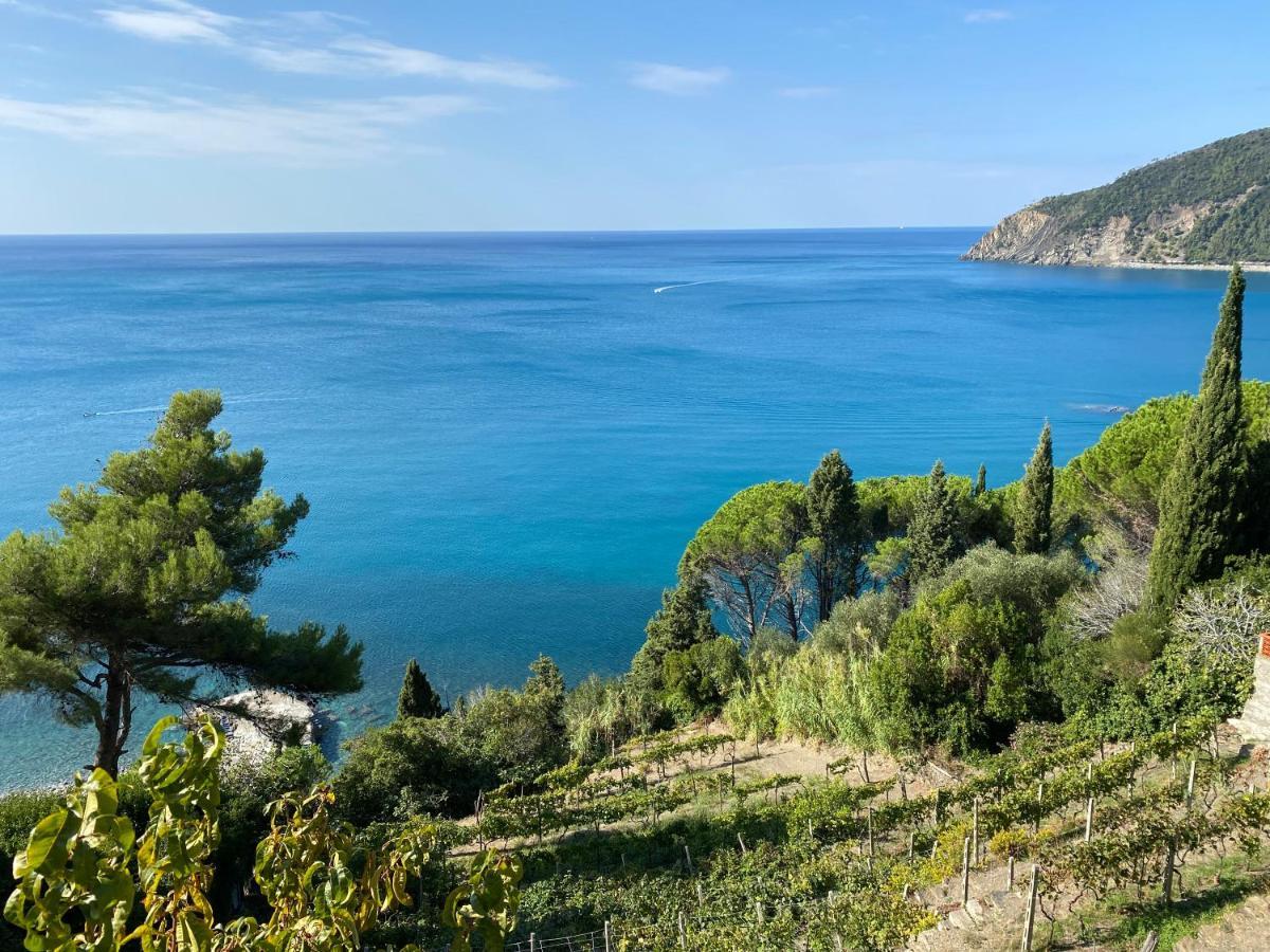 A & M House Appartement Moneglia Buitenkant foto